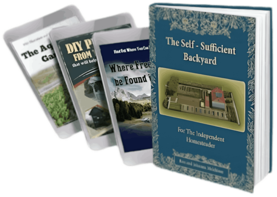 Self Sufficient Backyard