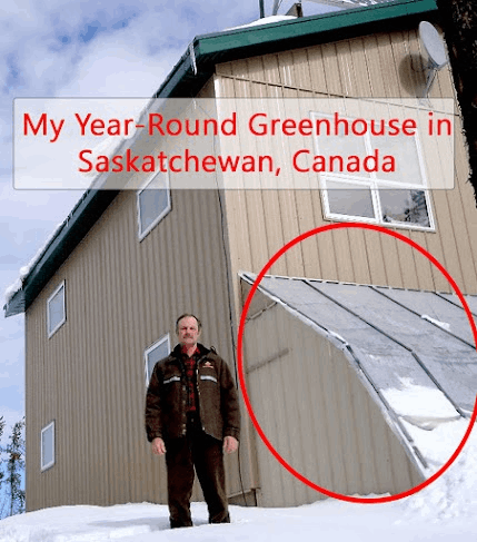 Self Sufficient Backyard