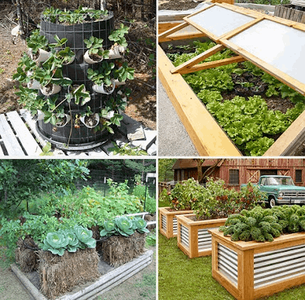 Self Sufficient Backyard