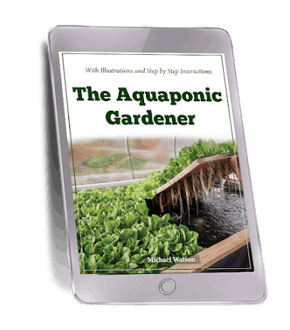 Self Sufficient Backyard - Bonus