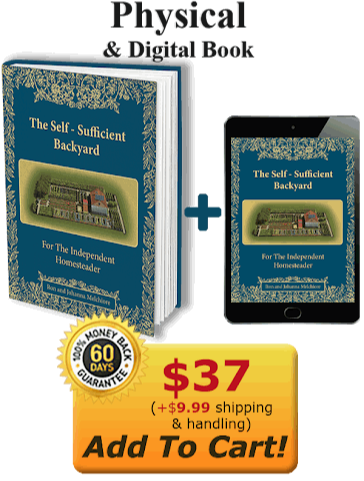 Self Sufficient Backyard