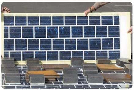 Self Sufficient Backyard