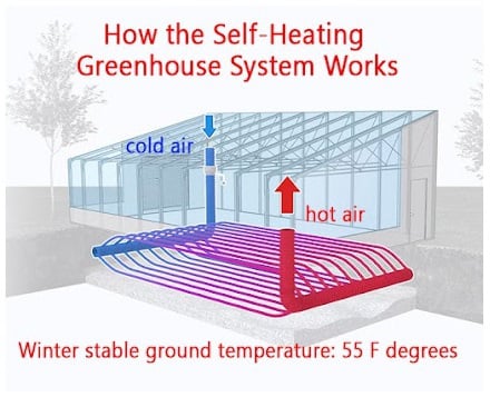 Self Sufficient Backyard